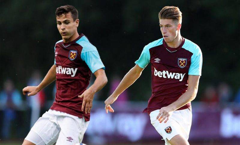 但也反映了 但也反映了